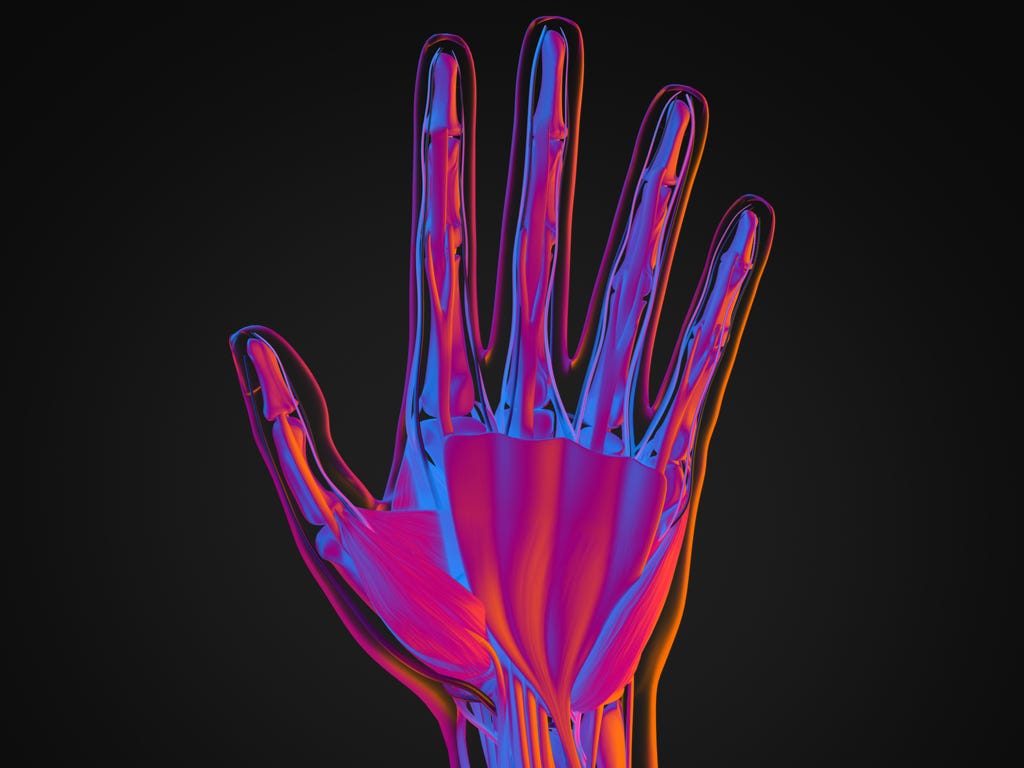 Palm vein authentication has emerged as a promising security solution, with recent advancements in hyperspectral imaging providing even greater accuracy and security.