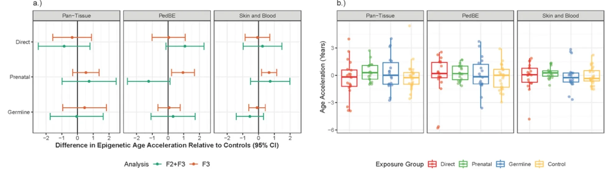 Epigenetic age acceleration and violence exposure. (A) Forest plots show differences in epigenetic age acceleration among those exposed to violence relative to controls, comparing the analyses of F2 + F3 (mothers and children) and F3 (children). (B) Boxplots of the distribution of epigenetic age acceleration (residual variation independent of chronological age) by violence exposure category in F3 / children.