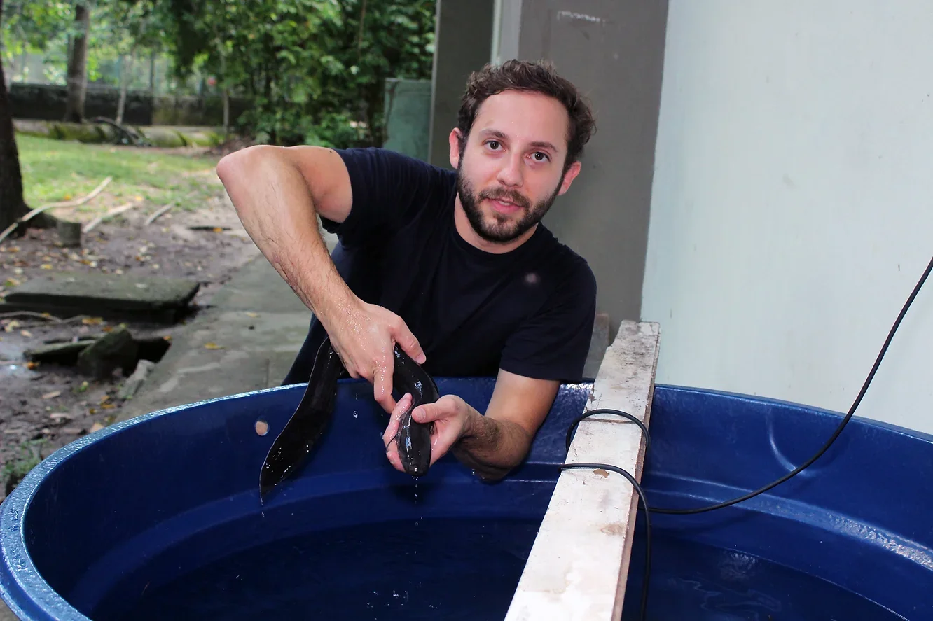 The researchers were even able to detect acoustic communication in lungfish. 