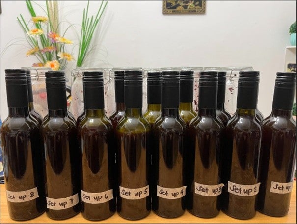 Bottled tapuy samples used for the experiment.