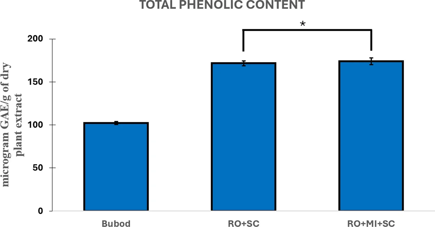 Summary of the total phenolic content of the three tapuy set-ups. The use of a defined starter culture mixture resulted in a larger total phenolic content than the bubod.