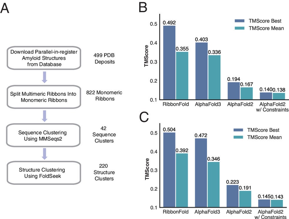 RibbonFold significantly outperforms AlphaFold2-Multimer and AlphaFold3 on independent datasets. 