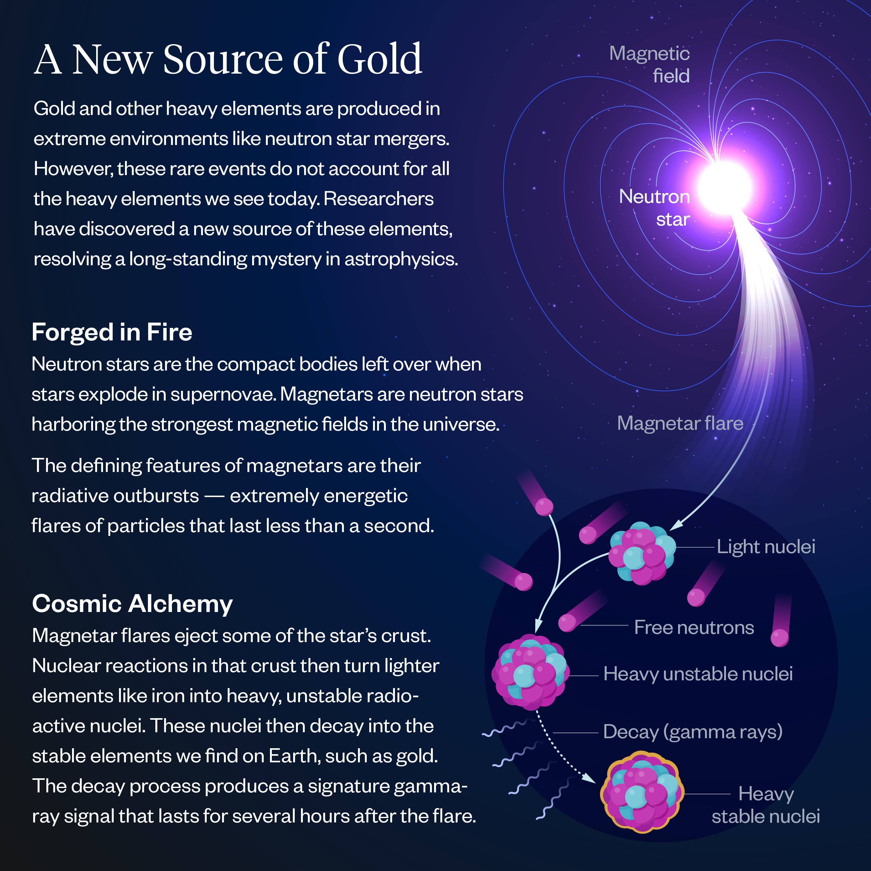 Study infographic. 