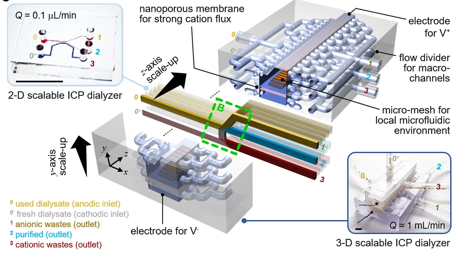 Schematic diagram of 3-D scalable ICP dialyzer for practical dialysate regeneration. A 2-D micro-nanofluidic hybrid dialyzer would be scaled-up to 3-D macro-fluidic dialyzer while maintaining the microfluidic environment near nanoporous membrane for practical utility.