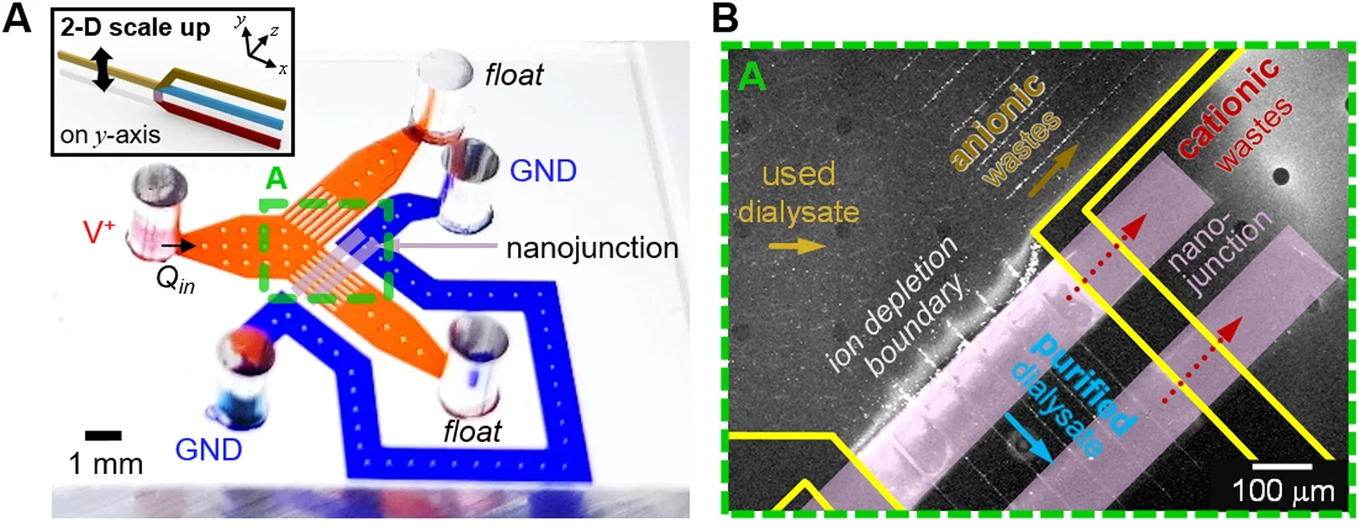 A microscopic image of 2-D scalable ICP dialyzer. Polymeric material, PDMS was used for building microchannels and nanoporous membrane, Nafion was used for patterning nanojunctions, and the microchannel width was expanded using a micro-fin structure which suppressed an electroosmotic instability (EOI).