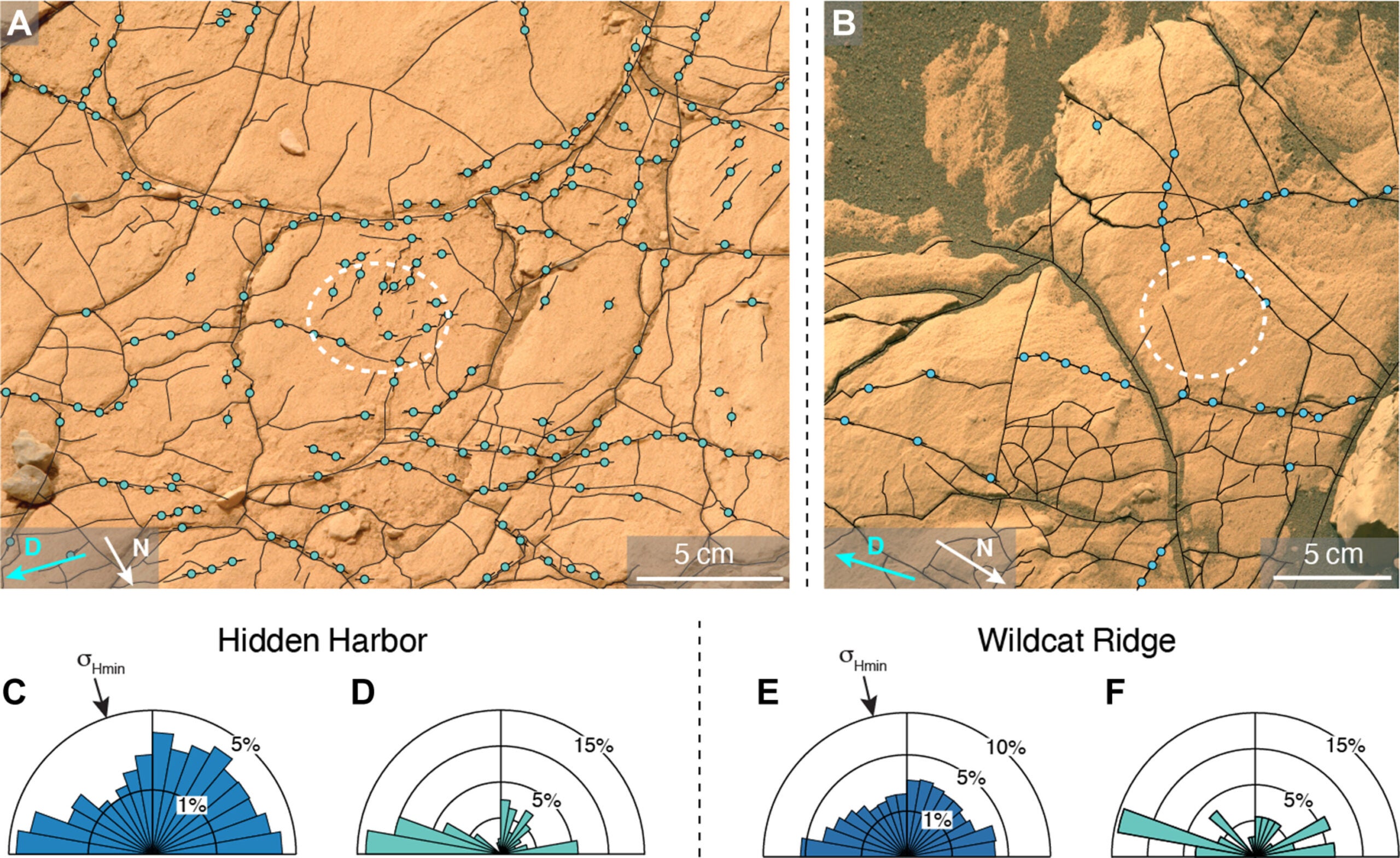 Fracture analysis of the studied outcrops. Mastcam-Z photographs of the decimeter-scale fracture networks at (A) Hidden Harbor (HH) and (B) Wildcat Ridge (WR).