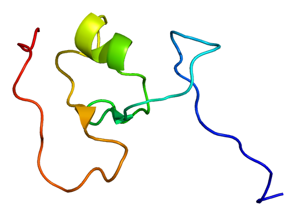Structure of the TRIM63 protein. Based on PyMOL rendering of PDB 2d8u