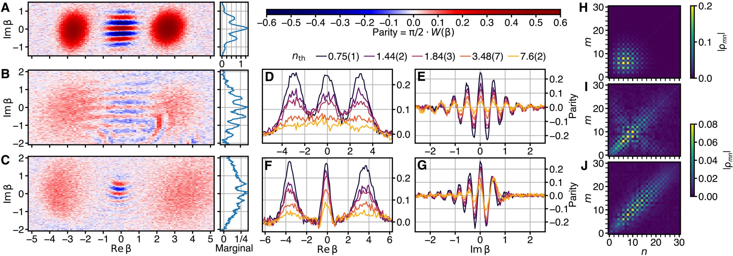 Cold Schrödinger cat prepared using the qcMAP protocol with the heat bath disconnected. (B and C) Hot Schrödinger cat states prepared from an initial thermal state with nth = 3.48(7) using the ECD (B) and qcMAP (C) protocols. 