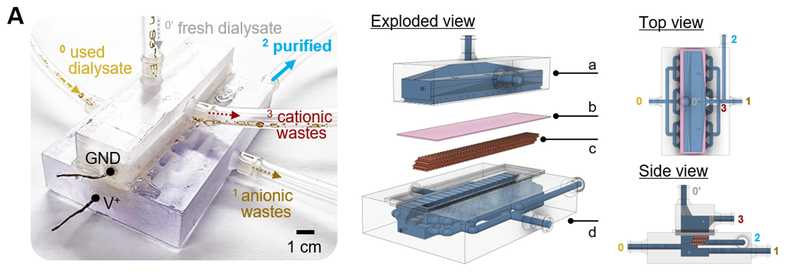 Schematic diagram of parallelized 3-D scalable ICP dialyzer. The dialyzer was scaled up only in the y-direction from the previous design in Fig. 3(A) and consisted of (a) a cathodic side macro-channel, (b) a nanoporous membrane sheet, (c) a micro-mesh structure, (d) an anodic side macro-channel.