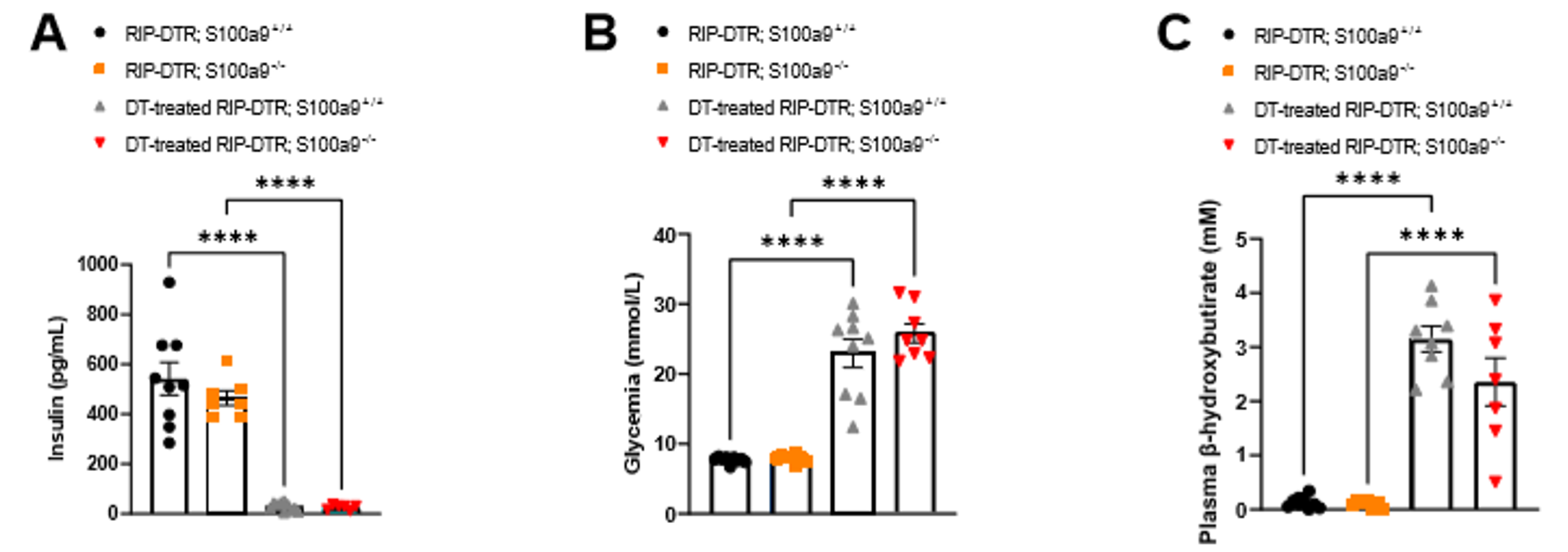 S100A9 suppresses diabetic ketogenesis via hepatic TLR4