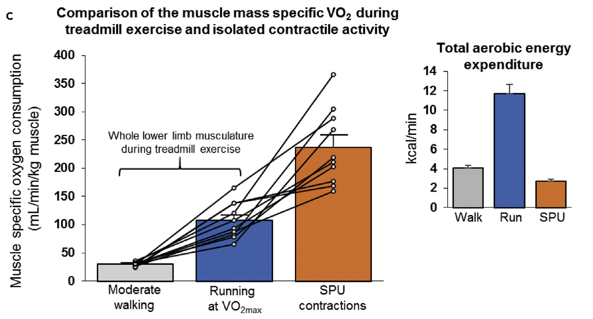 Whole-body and local oxidative metabolism during SPU contractions when sitting and during treadmill exercise. 