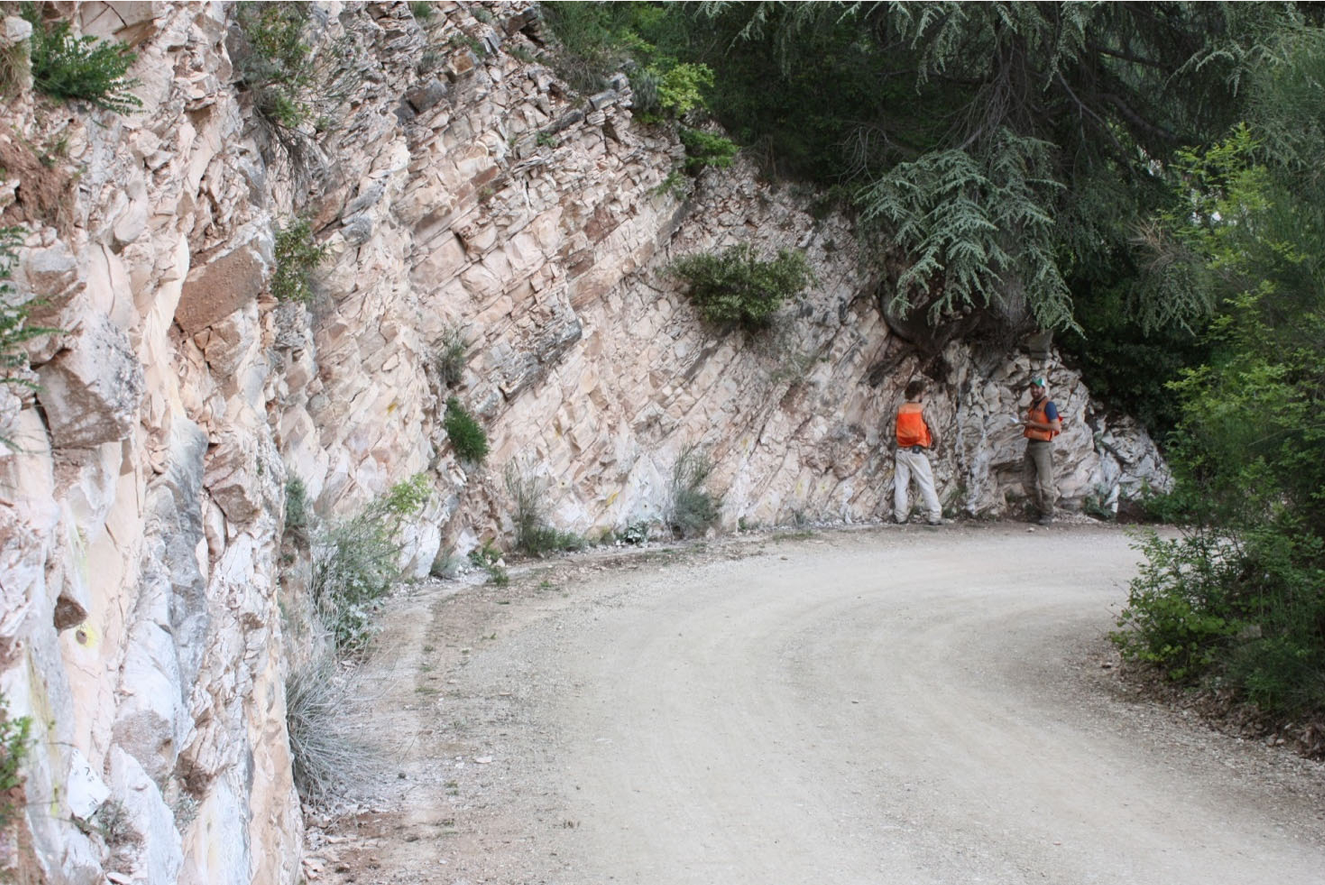 Scaglia Rossa Limestone exposed near Furlo, Italy, in the Northern Apennine Mountains. Limestone at this locality accumulated on the bottom of a shallow sea, in an arm of the ancient Mediterranean ocean nearly 85 million years ago, during what is called Late Cretaceous time.