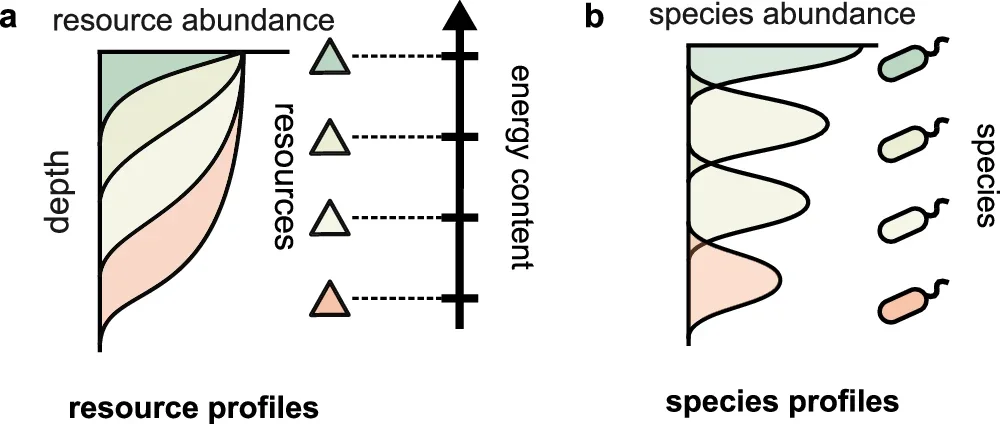 Energy-ordered resource stratification as an observable signature of life.