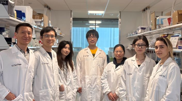 The study co-authors (from left to right) Sheng Zhong, Junchen Chen, Wenxin Zhao, Ming Xu, Shuanghong Xue, Zhixuan Song and Fatemeh Hadi uncovered that the PHGDH gene can trigger a pathway that disrupts how cells in the brain turn genes on and off, which can cause diseases like Alzheimer’s to develop.