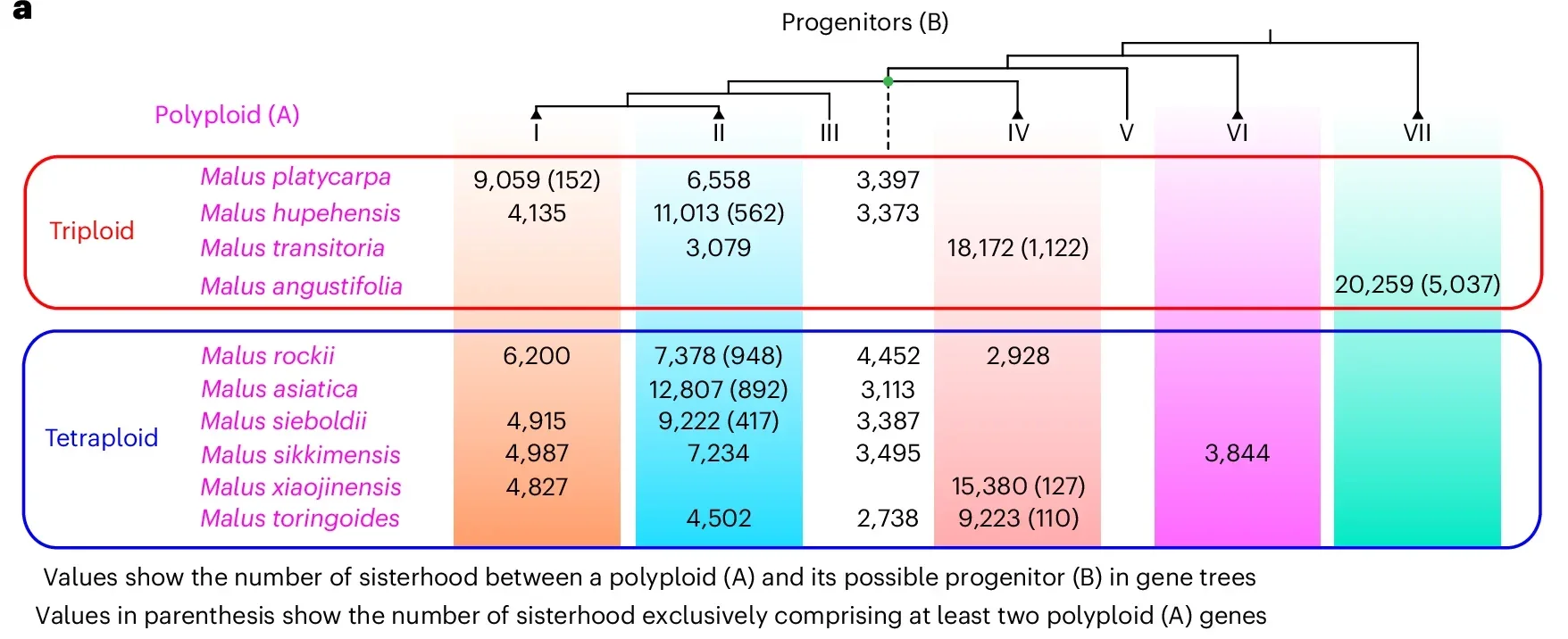 Analyses of introgression history in Malus.