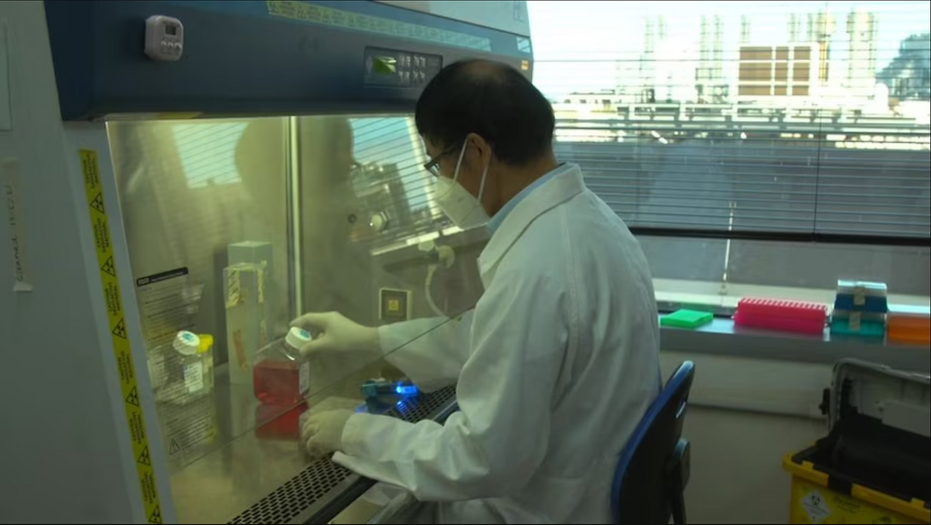 Researchers at the Baker Heart and Diabetes Institute have advanced efforts to restore insulin production by reprogramming pancreatic stem cells.