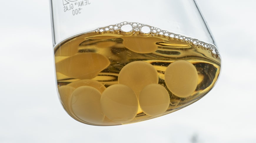 Fungi are still under-researched in the field of materials science. 