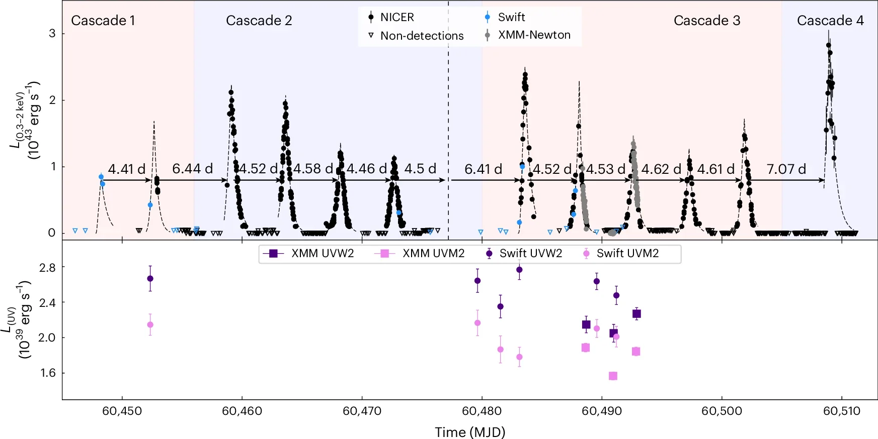 X-ray light curve of Ansky (using NICER X-ray Timing Instrument/Swift X-Ray Telescope (XRT)/XMM-Newton European Photon Imaging Camera pn) from 15 May to 22 July 2024, showing QPEs with a typical peak-to-peak recurrence time of ~4.5 d.