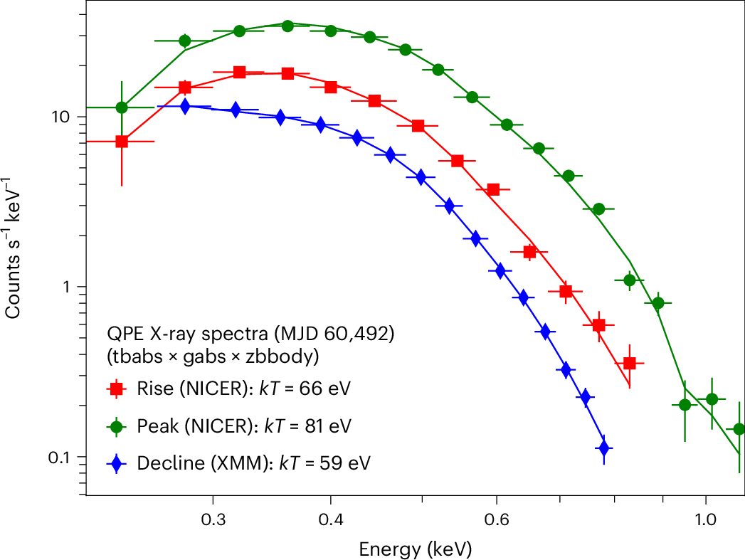 Background-subtracted X-ray spectra of the rise/peak/decline of the QPE on MJD 60492 with NICER and XMM-Newton data.