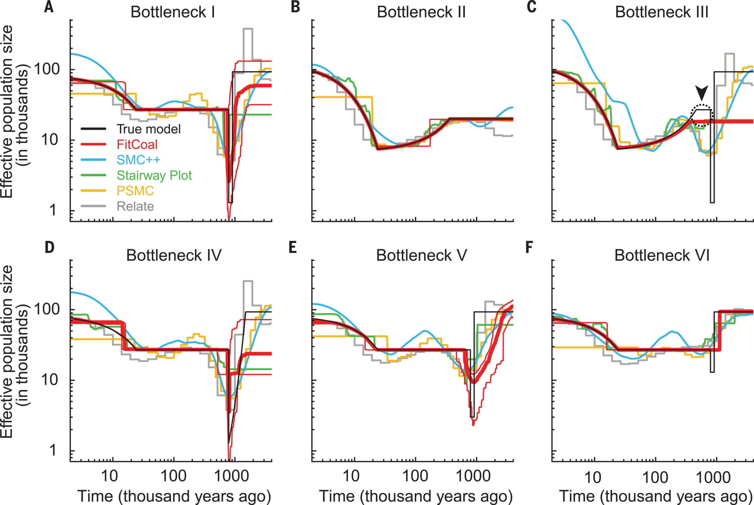 Verification of the severe bottleneck. Thick red lines represent the medians of FitCoal estimated population sizes over time; thin red lines represent 2.5 and 97.5 percentiles of FitCoal estimated population sizes over time.