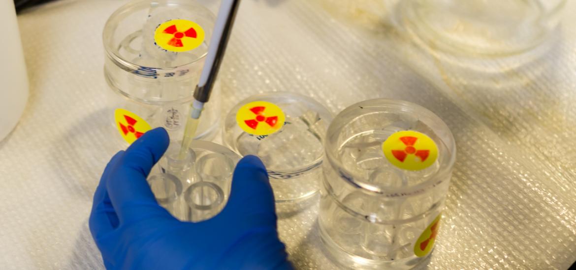 A researcher handles radioactive compounds in a controlled lab setting as part of the development of AKY-1189, a mini-protein delivering targeted radiation therapy to cancer cells expressing Nectin-4.