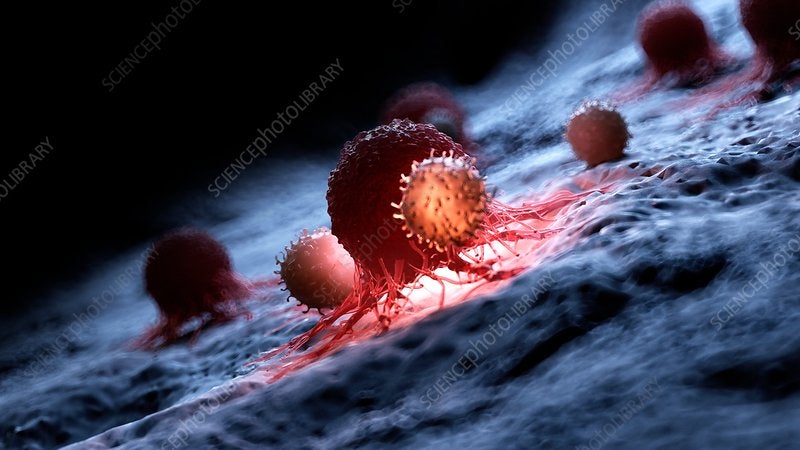 Breakthrough mini-protein revolutionizes how we treat cancer