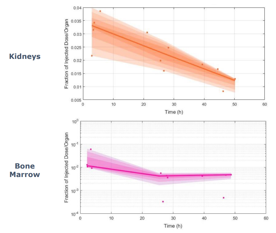 Time activity curves for the kidneys (orange) and bone marrow (pink) in patients receiving Lu-AKY-1189.