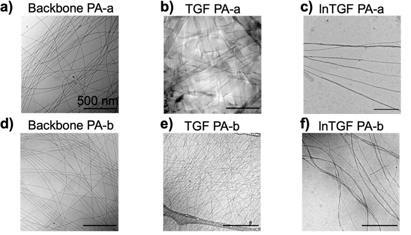 Materials characterization of TGF-β1 mimetic and control PA nanostructures. 