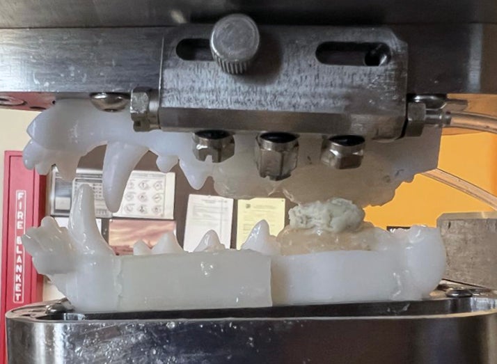 The ART-5 mastication simulator - a mechanical mouth used to test the clinical-grade antiviral chewing gum.