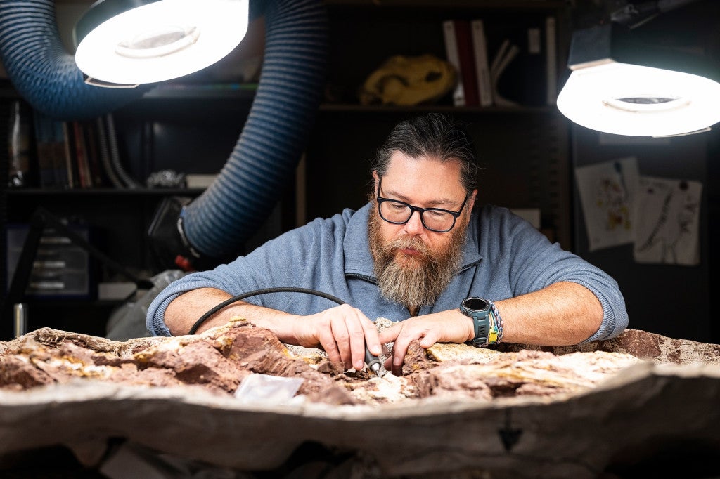 David Lovelace removes sediment from around a fossil in plaster cast as he works in the UW Geology Museum’s specimen preparation room.
