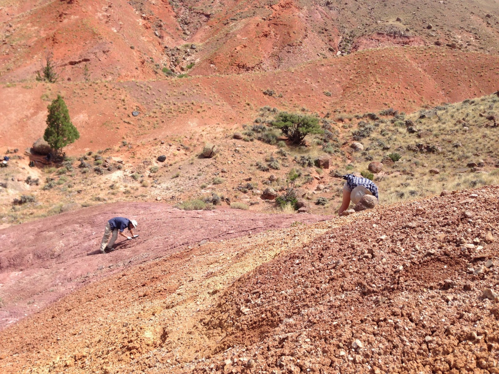 A University of Wisconsin Geology Museum field crew is seen here in 2016 prospecting for additional material at the site in Wyoming where fossils of Ahvaytum bahndooiveche were discovered in 2013. The researchers are Aaron Kufner (left) and Jennifer Lien.