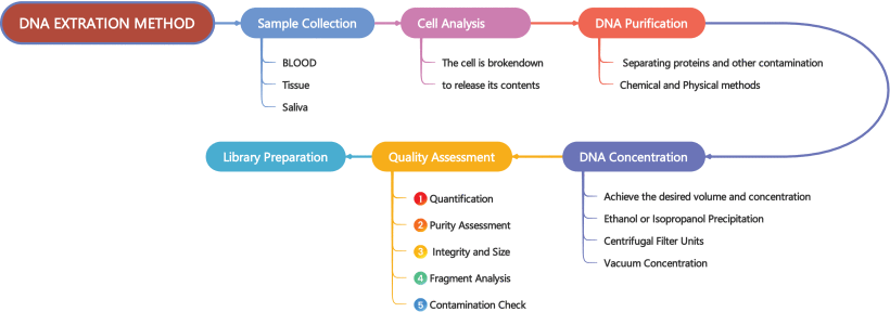 DNA extraction method.