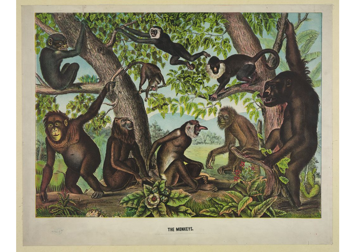 The Monkeys, painting.