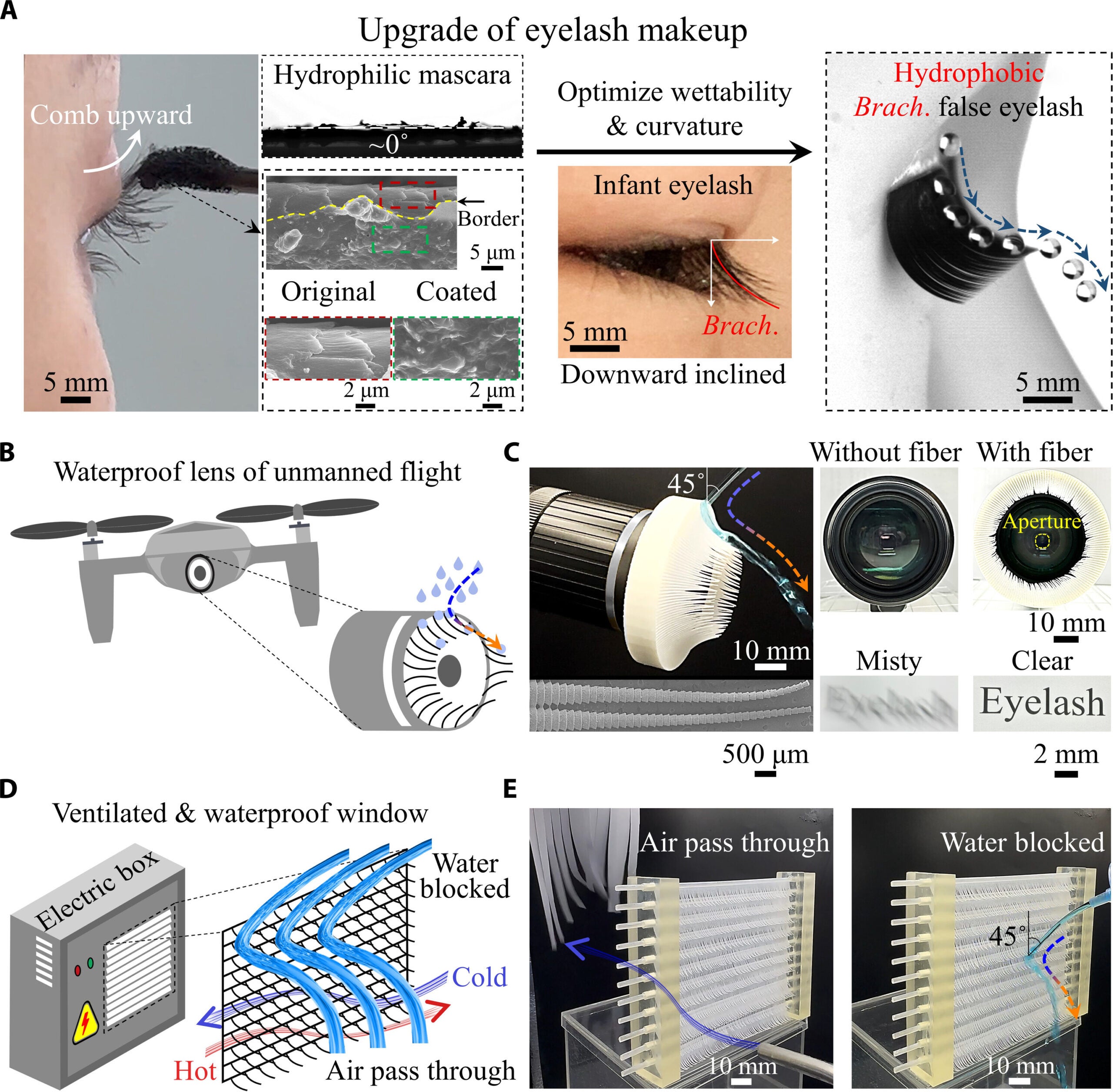 Eyelash-inspired fibers mimic natural curvature and surface structure to enhance water drainage, waterproof lenses, and ventilate while blocking moisture.