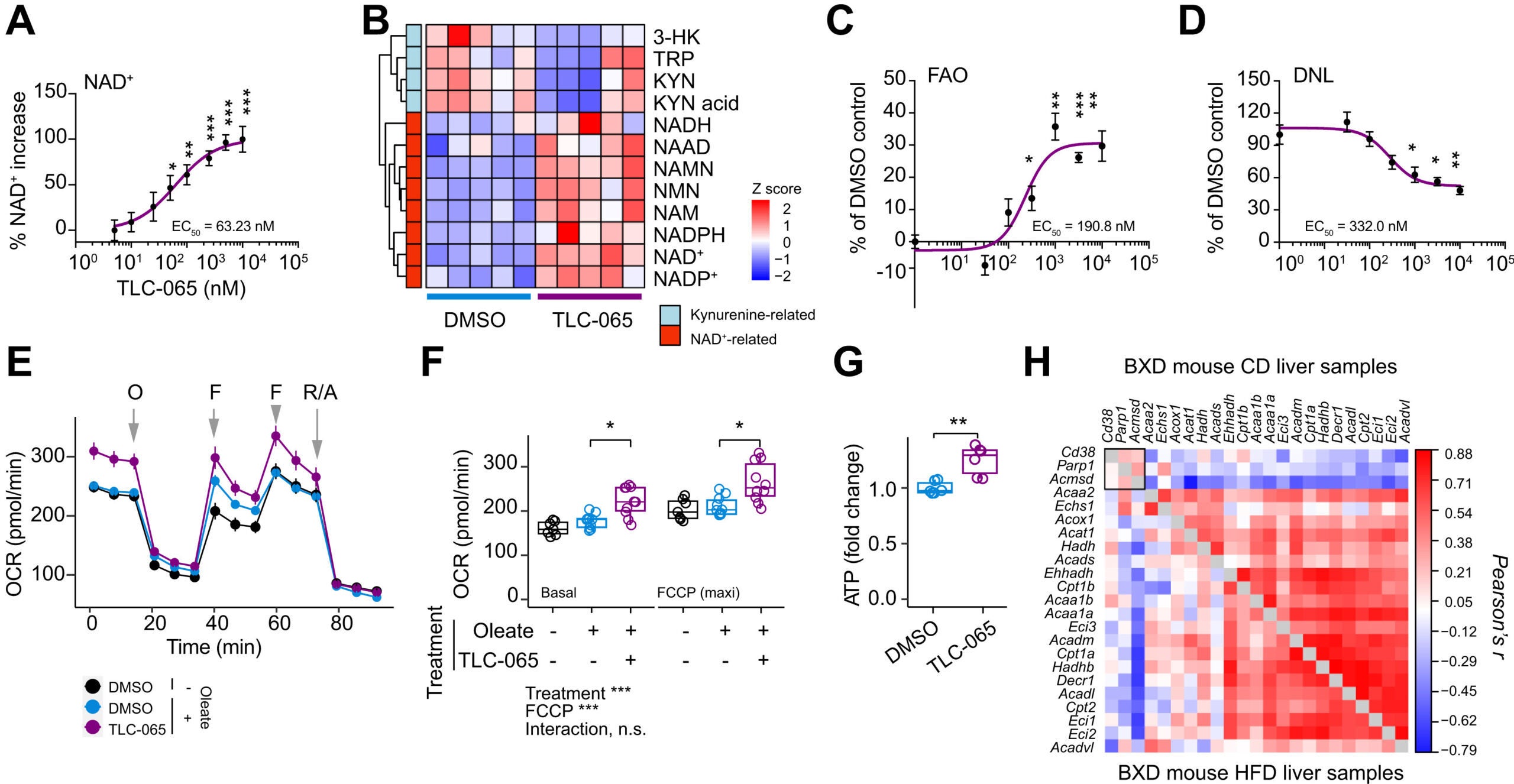 ACMSD inhibition enhances the NAD+ metabolome and mitochondrial respiration.