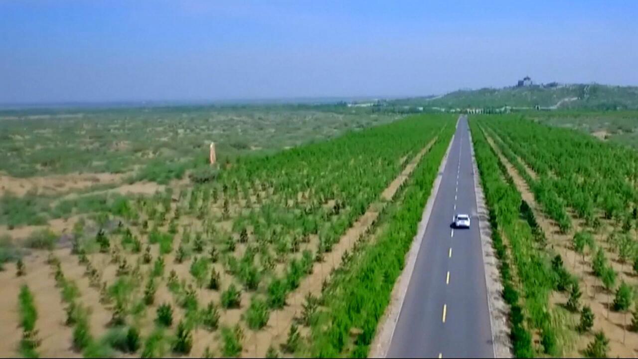 The Three-North Shelterbelt Program (TNSP) or the "Green Great Wall," this project represents one of the most ambitious ecological restoration efforts ever attempted.
