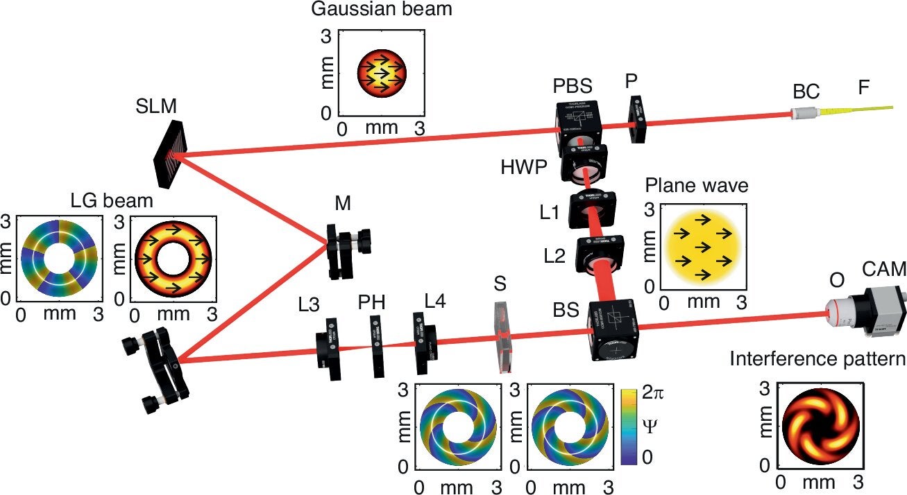 Experimental setup. LD laser diode, P polarizer, FM fiber mount, BC beam collimator, SLM spatial light modulator, M1, M2 mirrors, L1, L2, L3, L4 lenses, PH pinhole, PBS polarizing beam splitter, HWP half-wave plate, S cuvette filled with the sample liquid, BS beam splitter, NF neutral filter, O objective, and CCD camera. 