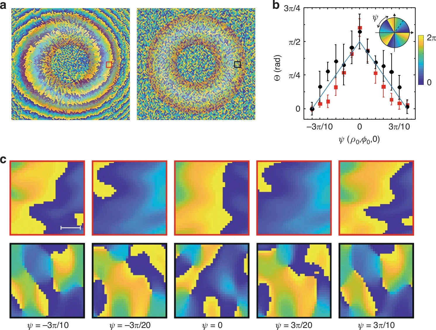 Phase memory of OAM of light in multiple scattering.