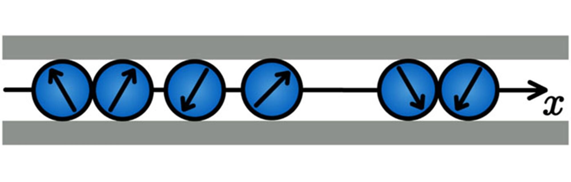 Schematic of active Rouse SF-ABP system where interparticle interactions are modeled as springs. Each purely repulsive active particle moves at a constant speed of Uacosθ while undergoing rotational Brownian motion with a reorientation time ofτR.