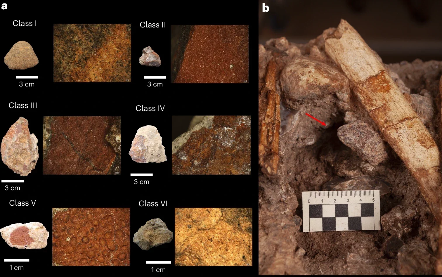 Different types of ochre from Tinshemet Cave and their association with human and animal bones.