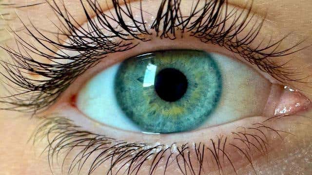 A new blue-green color called “olo” has been discovered using lasers to target the eye’s M cone cells, expanding human color vision.