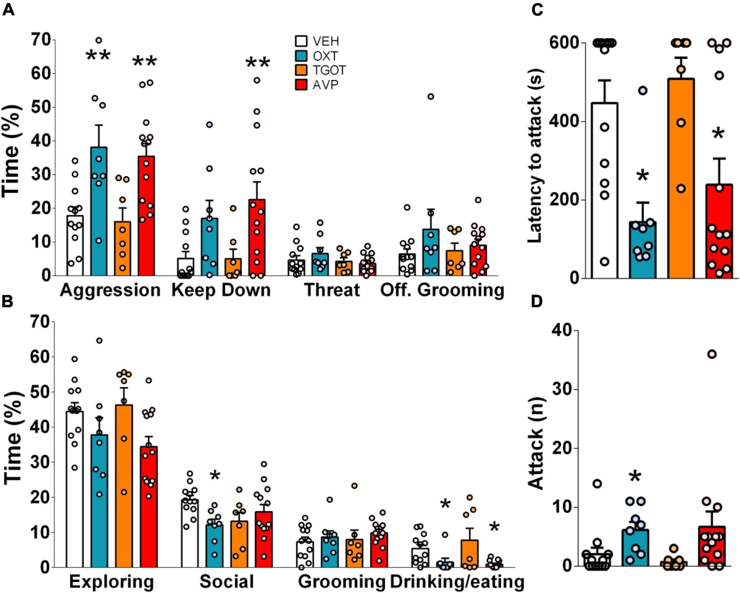 Infusing AVP or oxytocin into the amygdala increased aggression in rats, while TGOT ((selective OXTR agonist) had no effect. Both reduced feeding and drinking time.