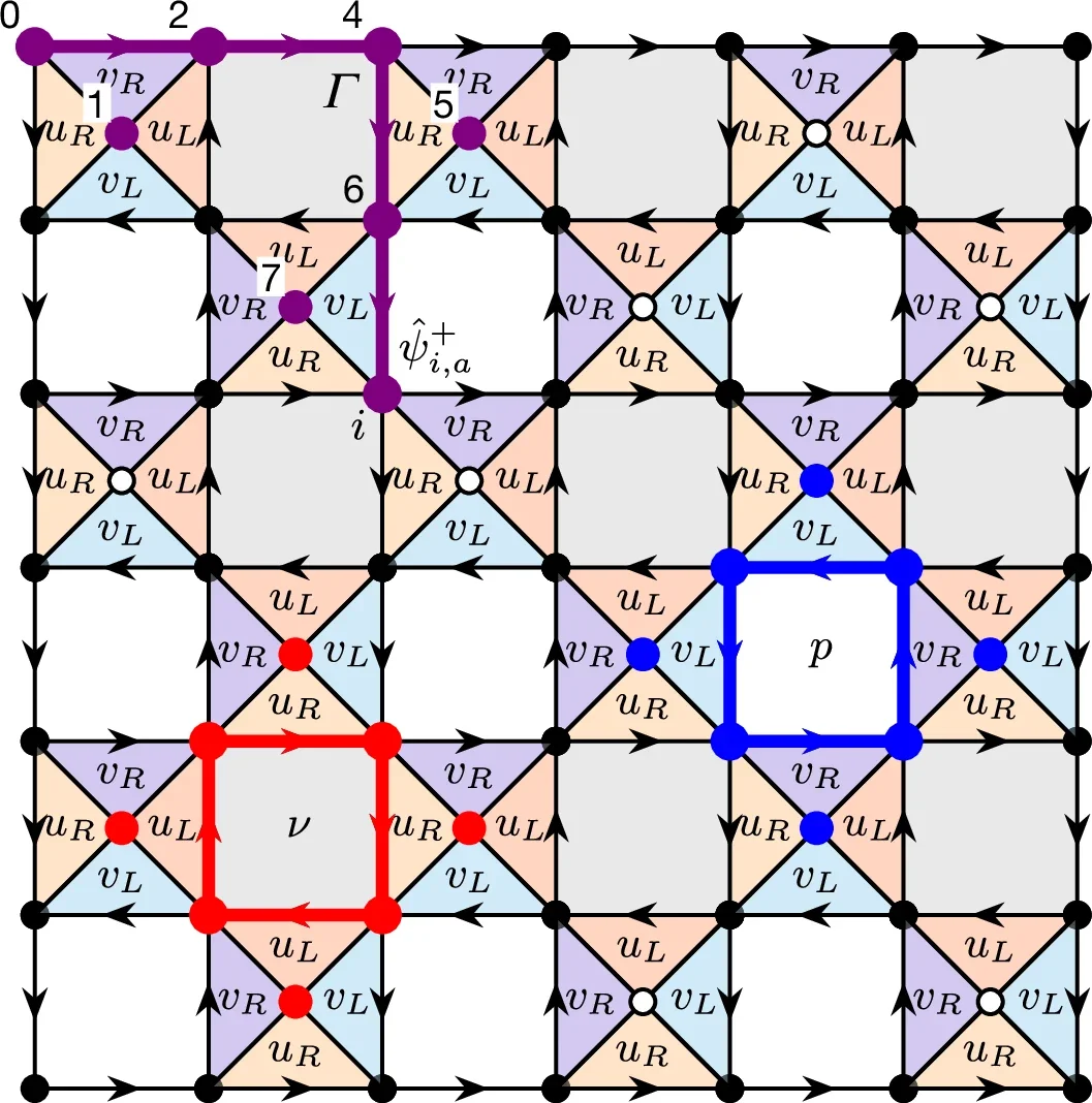 The 2D exactly solvable spin model on a 7 × 7 lattice with open boundary conditions.