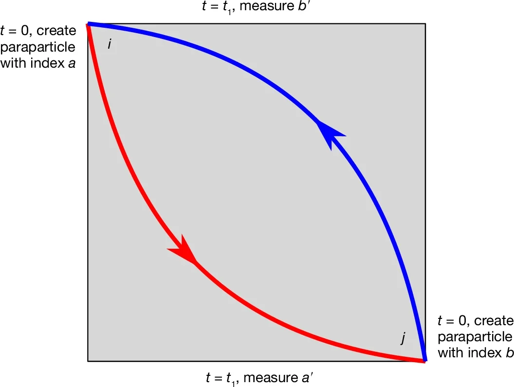 Illustration of paraparticle exchange in the 2D solvable spin model.