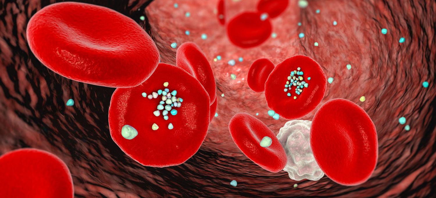 Once inside, phthalates can interfere with hormones, increase inflammation in your arteries, and disrupt the way your body handles fats and sugars.