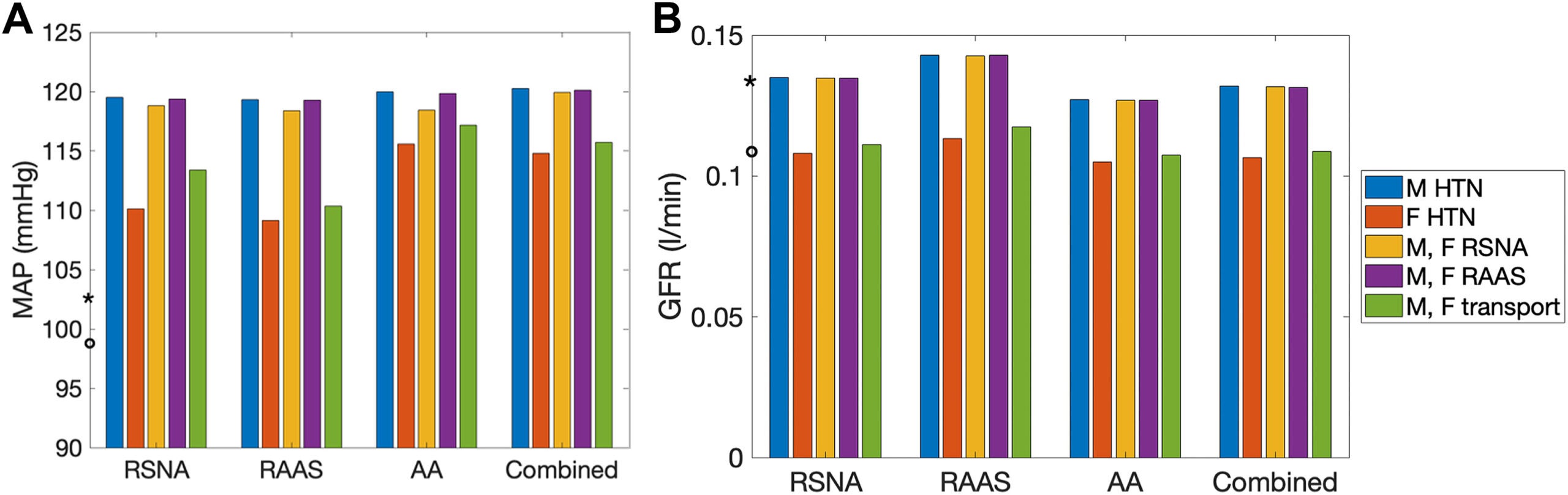Sex-specific model responses to different hypertensive stimuli: renal sympathetic nervous activity (RSNA), renin-angiotensin-aldosterone system (RAAS), afferent arteriole (AA) resistance, and combined, and the underlying mechanisms.
