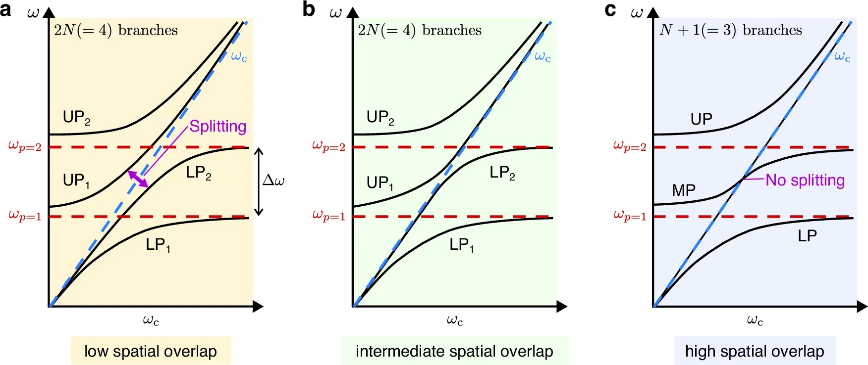Different scenarios of multimode light–matter coupling.