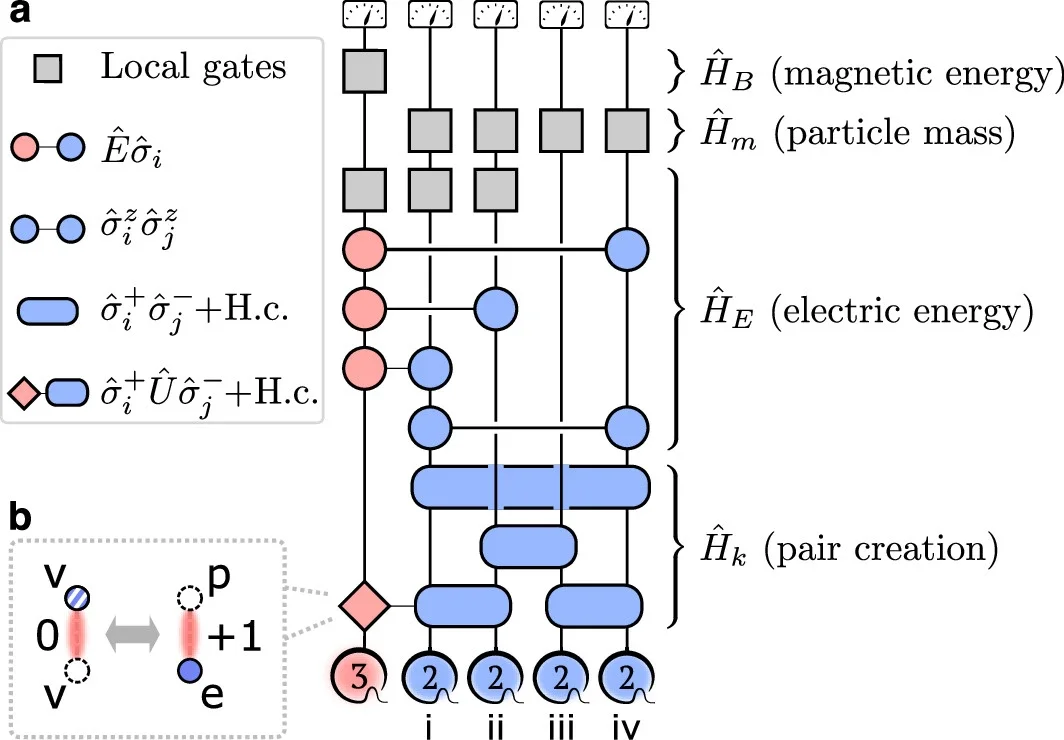 Time evolution circuit for 2D-QED with matter. Circuit for the Trotter time evolution of a plaquette with dynamical matter, following the decomposition given in Eqs. (MIII2). For details on the model see Methods MV.