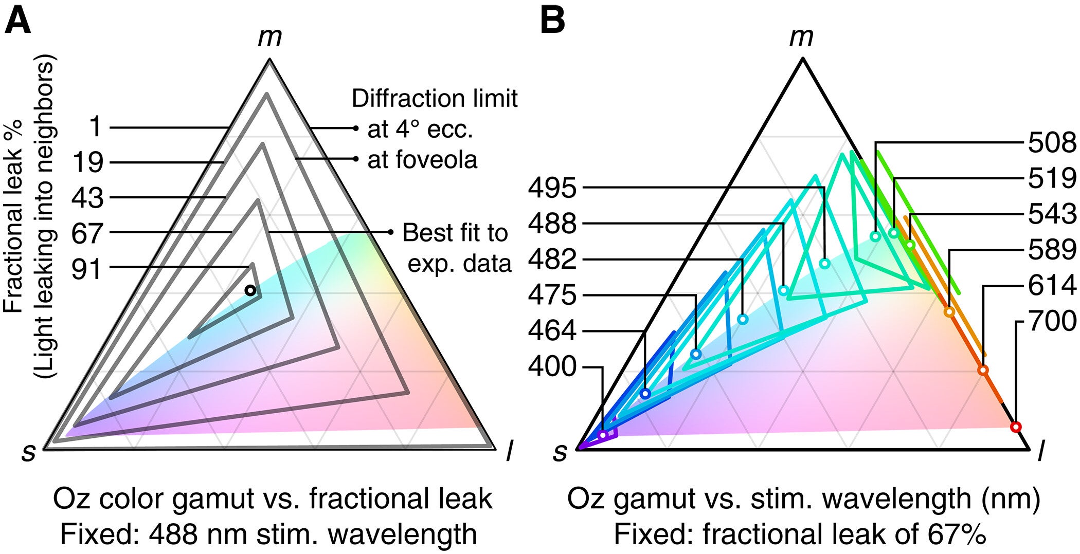 Theoretical model of Oz color gamut as a function of fractional leak and stimulation wavelength.