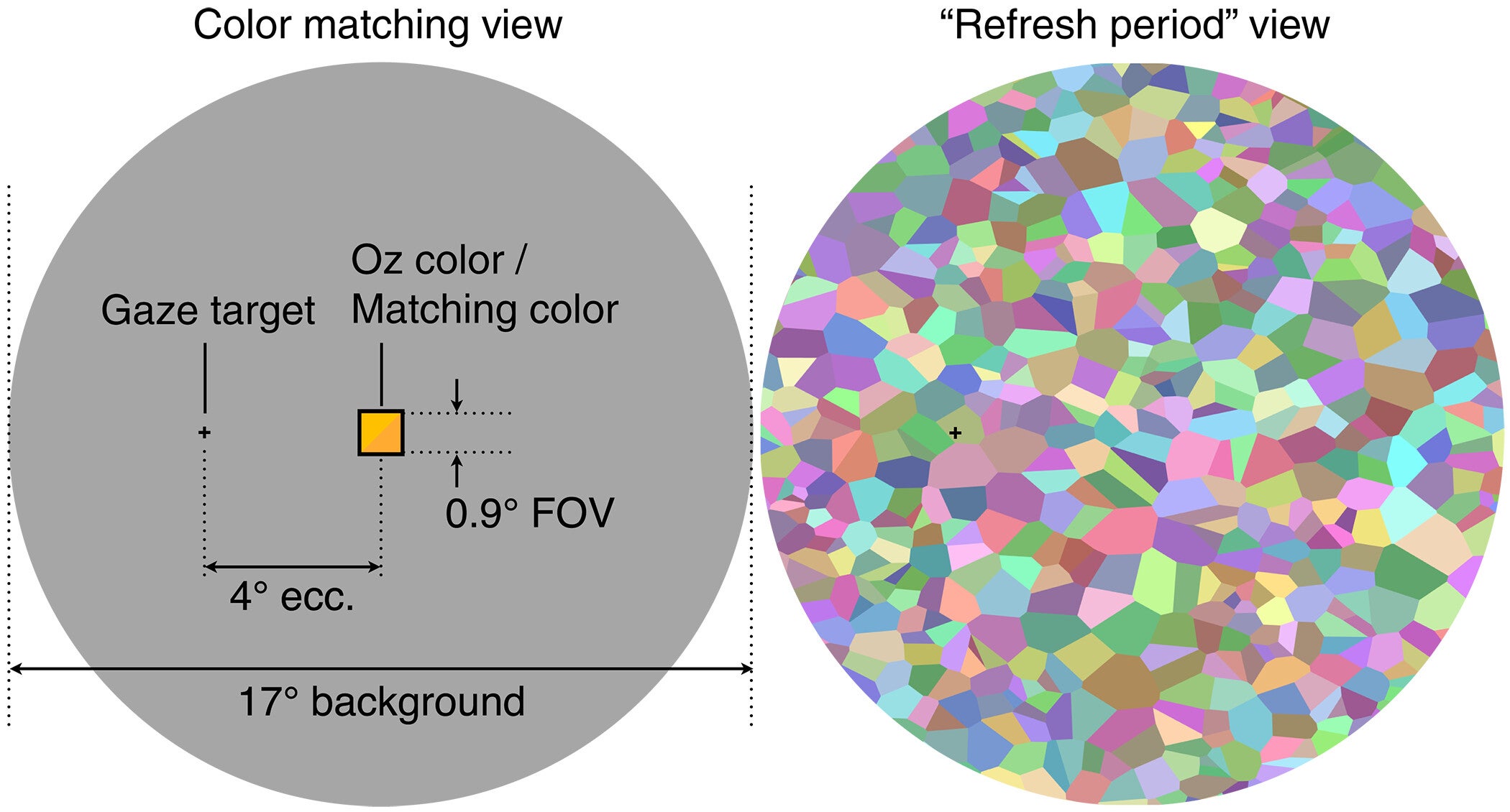 Subject’s view during color matching experiment. Left shows the experimental view. Right shows an example of the multicolored mosaics shown for a periodic 15-s “refresh period.”